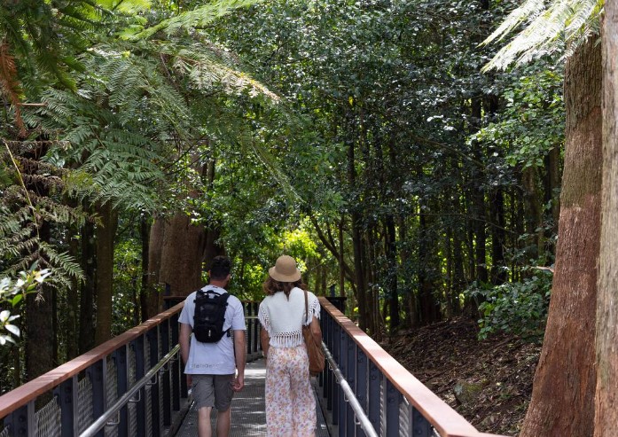 Why You Should Visit Australia’s Colorful Forests: A Journey Through Nature’s Palette