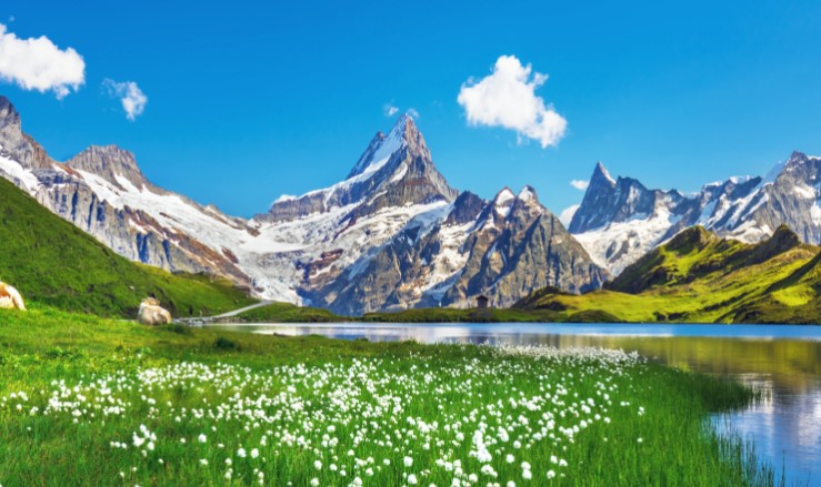 Top 10 Vibrant National Parks In Switzerland: A Journey Through Alpine Majesty